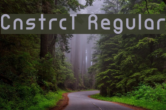 CnstrcT Regular Font examples