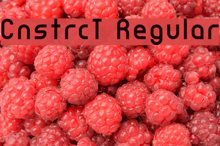 CnstrcT Regular Font examples