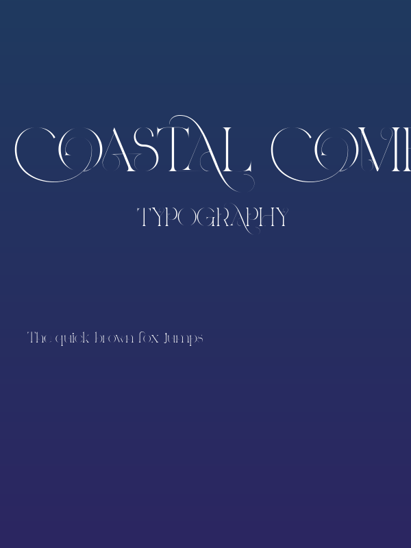 COASTAL COMFORT DEMO REGULAR Poster