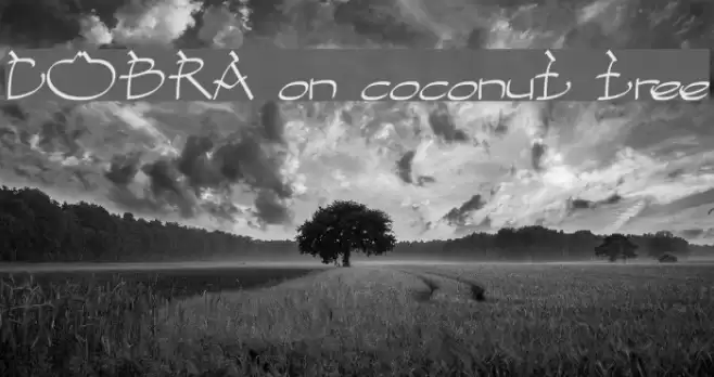COBRA on coconut tree Font examples