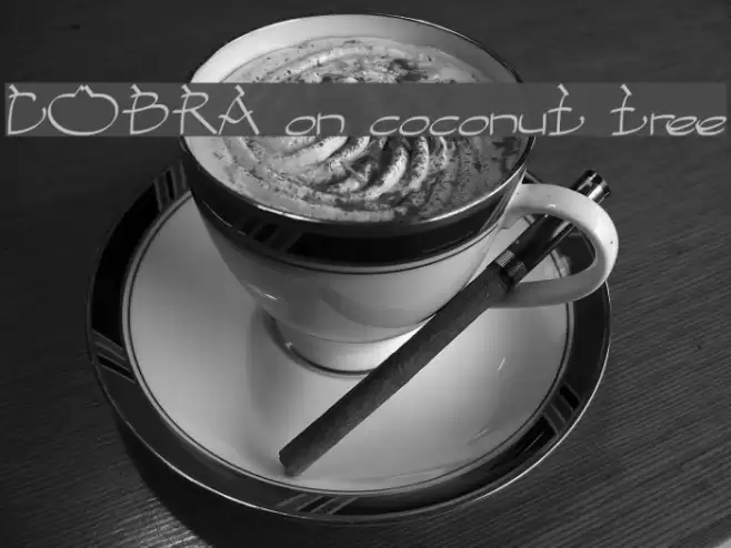 COBRA on coconut tree Font examples