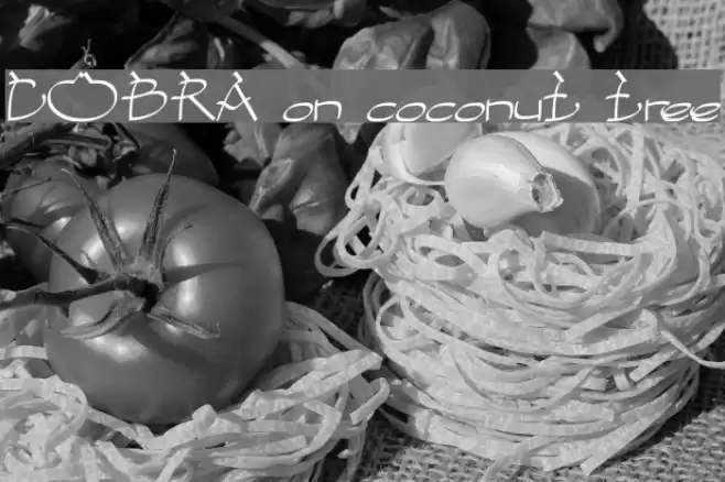 COBRA on coconut tree Font examples