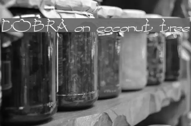 COBRA on coconut tree Font examples