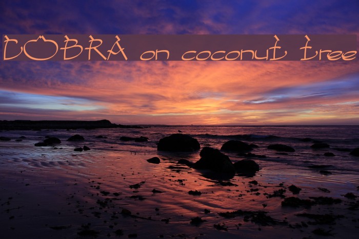 COBRA on coconut tree Font examples
