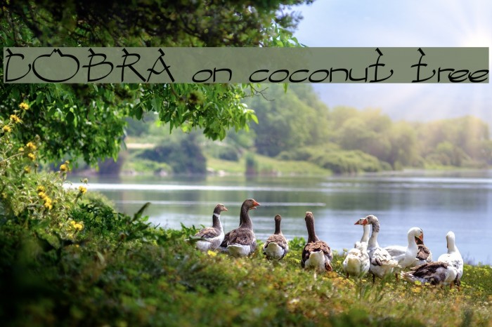 COBRA on coconut tree Font examples