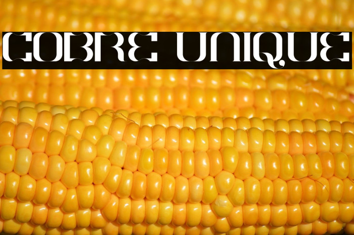 COBRE UNIQUE Example 1