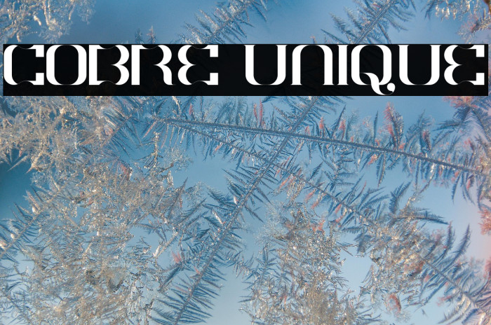 COBRE UNIQUE Example 2