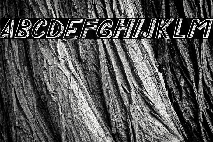 COCO EMPIRE Example 1