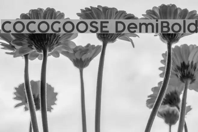 COCOGOOSE DemiBold Font examples
