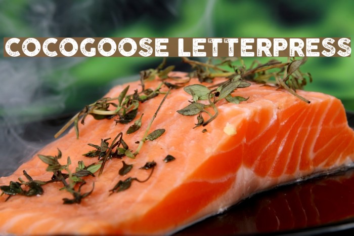 COCOGOOSE LETTERPRESS Font examples