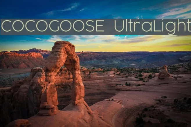 COCOGOOSE  UltraLight Example 1