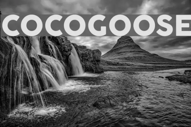 COCOGOOSE Font examples