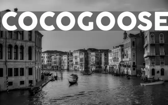 COCOGOOSE Font examples