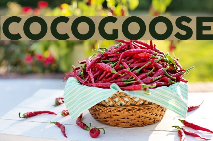 COCOGOOSE Font examples