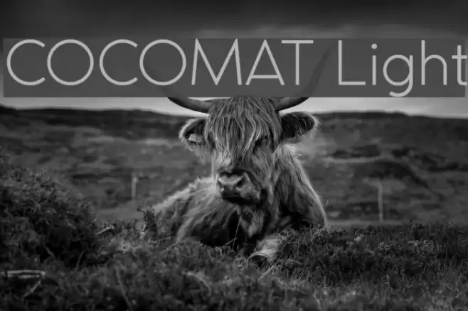 COCOMAT Light Font examples