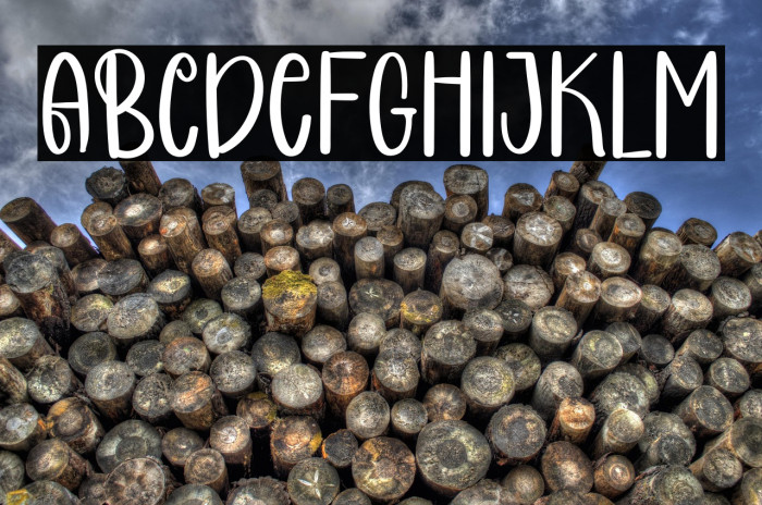 COCONUT CAKE Example 1