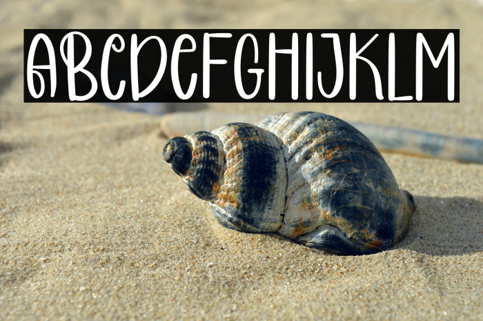 COCONUT CAKE Example 2