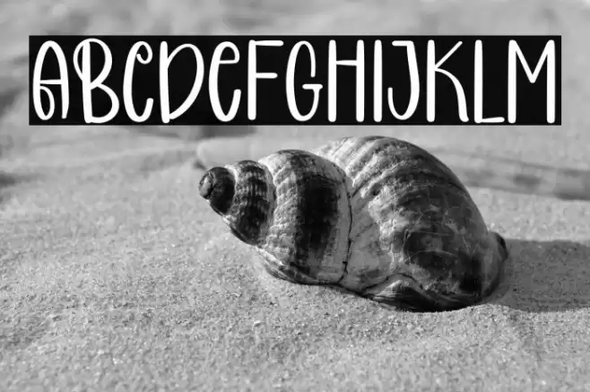 COCONUT CAKE Font examples