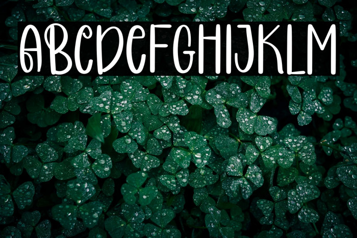 COCONUT CAKE Example 3