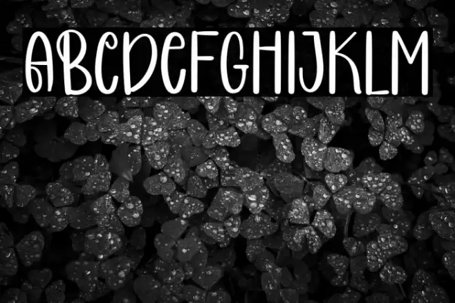 COCONUT CAKE Font examples