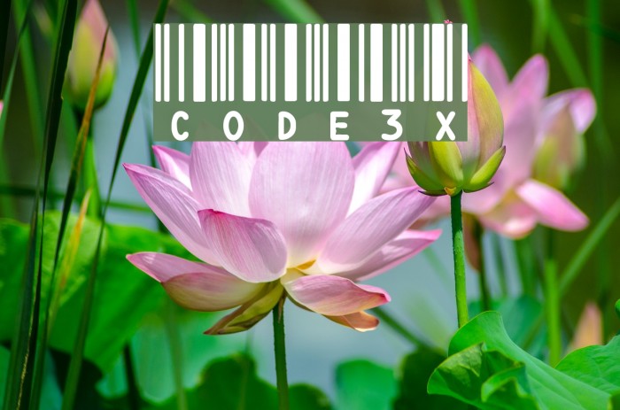 CODE3X Font examples
