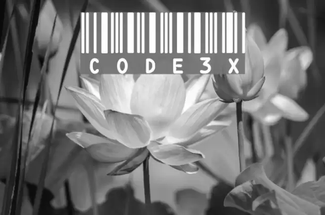 CODE3X Polices examples