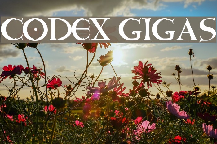 CODEX GIGAS Font examples