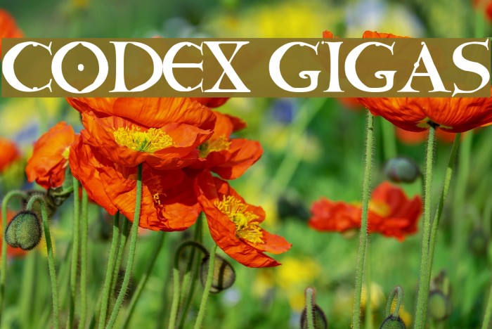 CODEX GIGAS Font examples