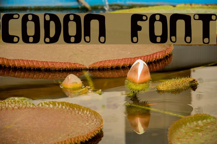 CODON Font examples