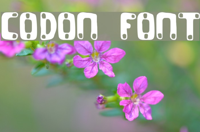 CODON Font examples