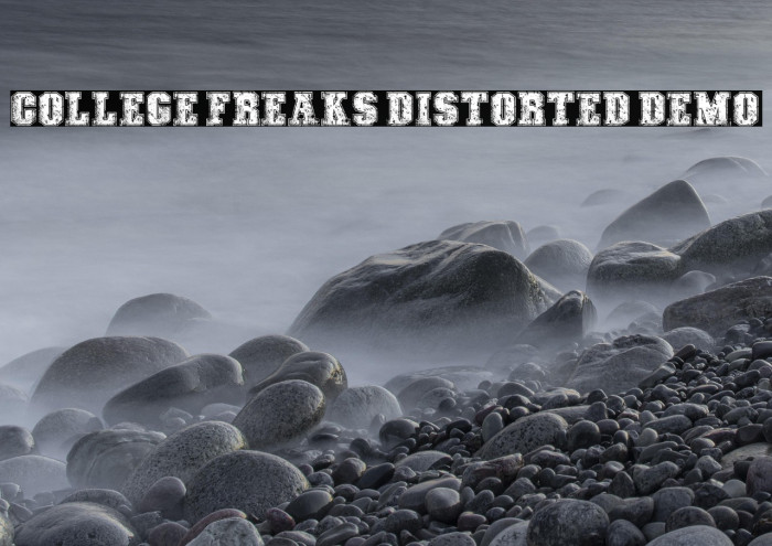 COLLEGE FREAKS DISTORTED DEMO Example 1