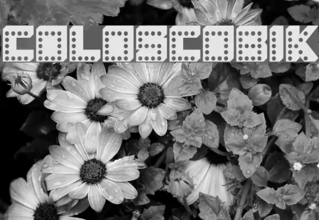 COLOSCOBIK Font examples