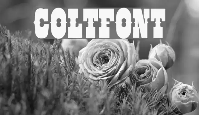 COLTFONT Font examples