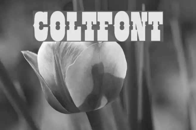 COLTFONT Font examples