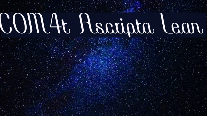 COM4t Ascripta Lean Example 2