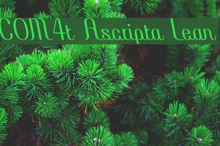 COM4t Ascripta Lean Example 3