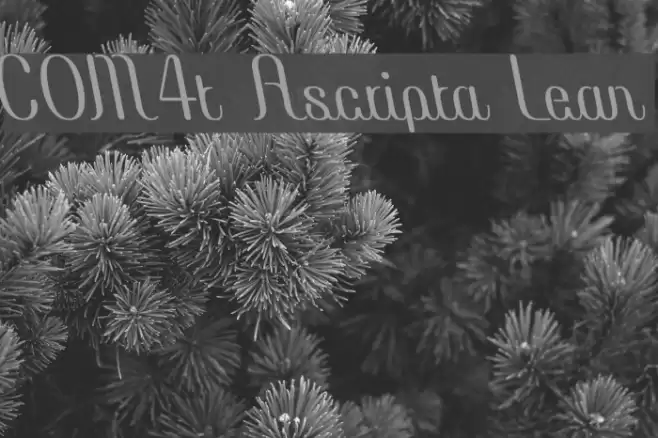 COM4t Ascripta Lean Font examples