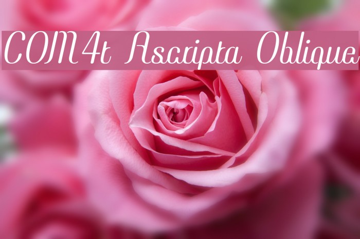 COM4t Ascripta Oblique Example 1
