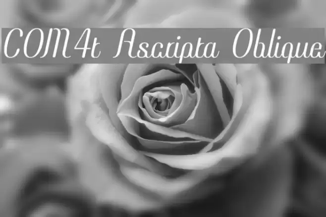 COM4t Ascripta Oblique Font examples
