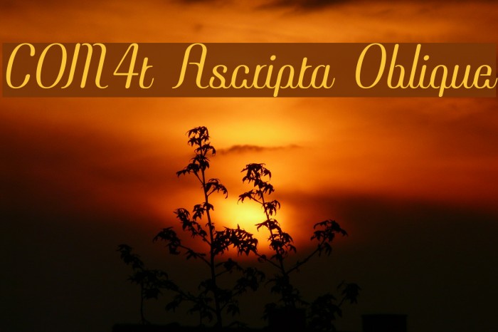 COM4t Ascripta Oblique Example 2