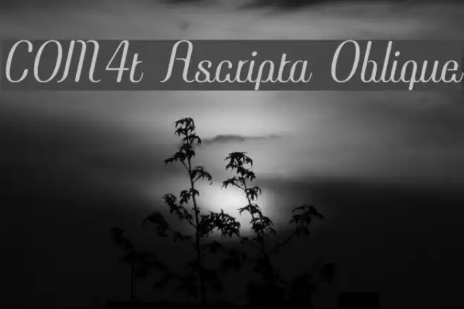 COM4t Ascripta Oblique Font examples
