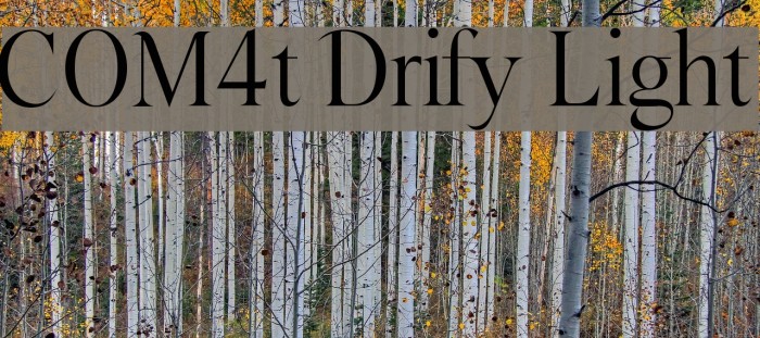 COM4t Drify Light Font examples