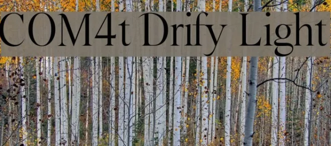 COM4t Drify Light Example 2
