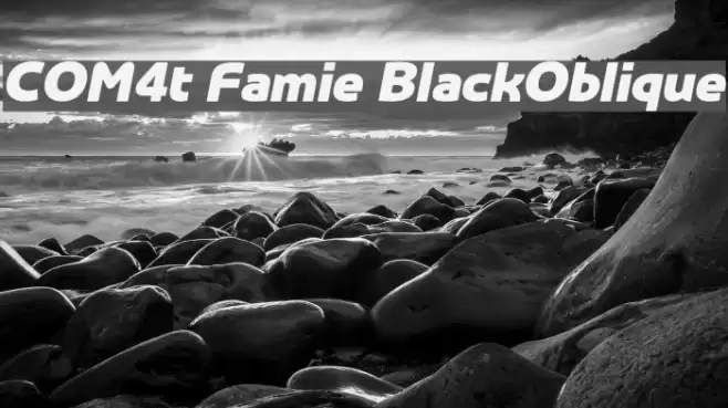 COM4t Famie BlackOblique Schriftart examples