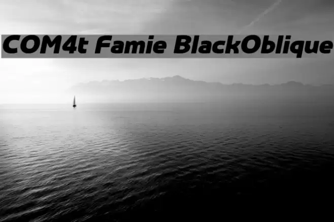 COM4t Famie BlackOblique Schriftart examples