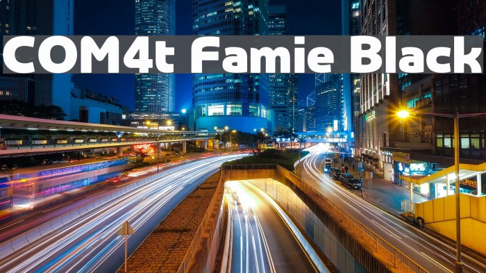 COM4t Famie Black Example 1