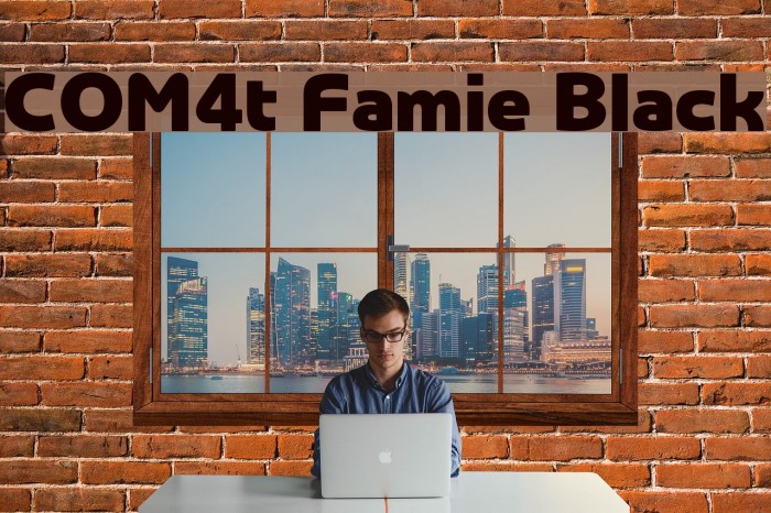 COM4t Famie Black Example 3