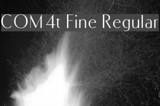 COM4t Fine Regular Schriftart examples