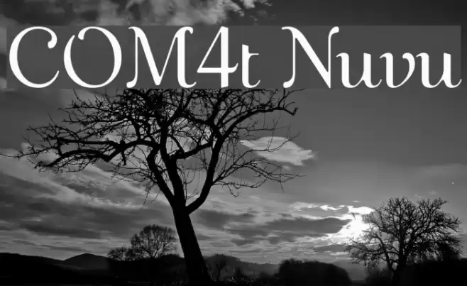 COM4t Nuvu Font examples