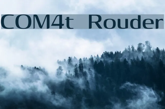 COM4t Rouder Example 2